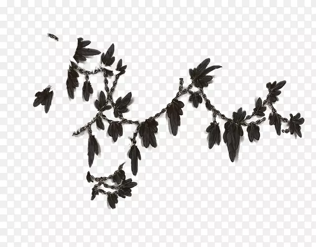 ��Ҷ����-��ë��ɫ-������