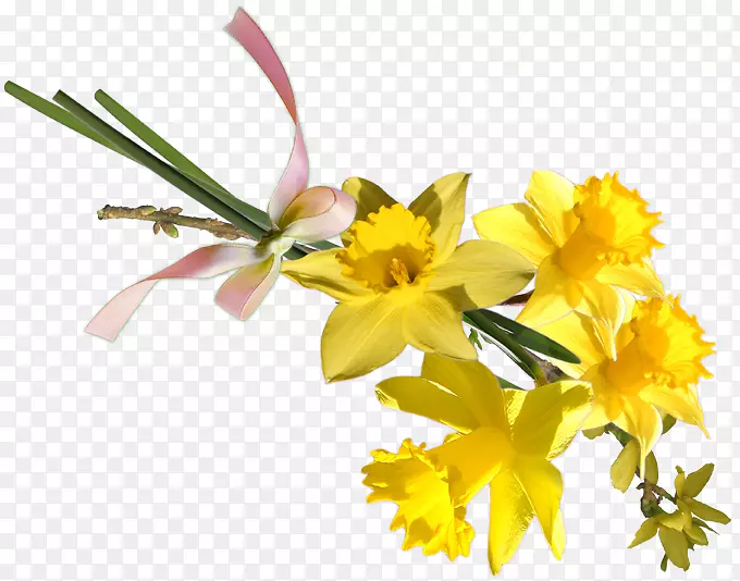 ��������л�ֲ�ﾥ�������-������