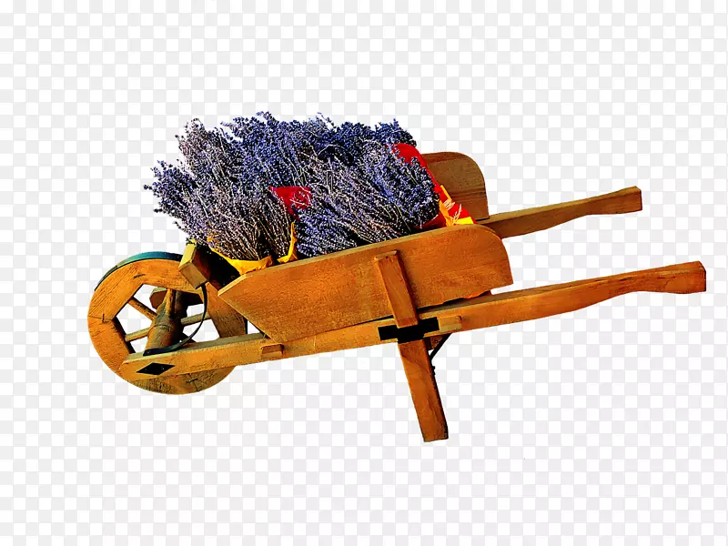 ޹�²ݻ���-������