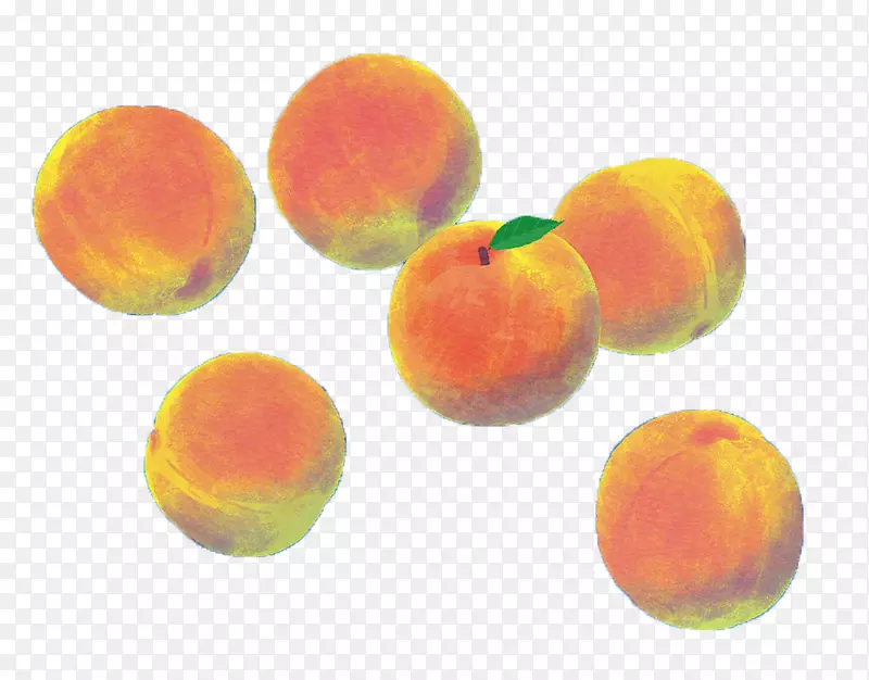 ˮ�ʻ�����-�ֻ��һ��������Ƭ-������