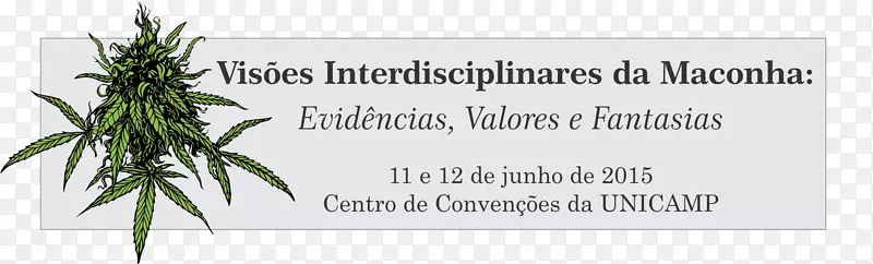 ����������-������