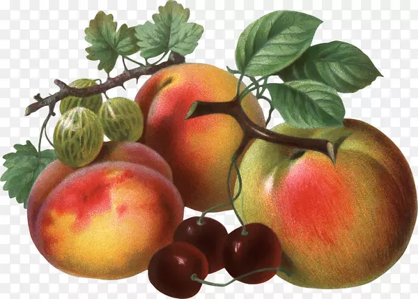 �������Ӽ�����-����-������