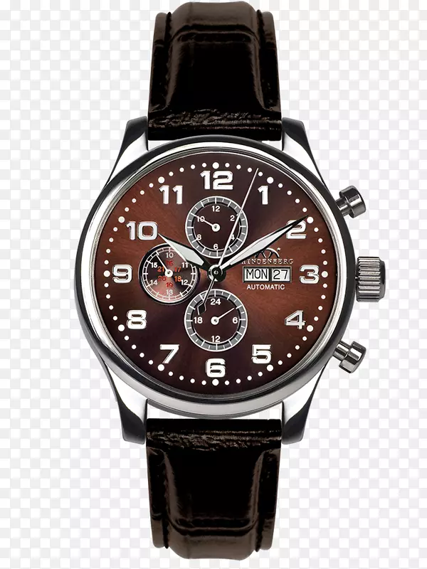 �ֱ�Certina Kurth fr��res�²��ʱ��Festina-Watch-������