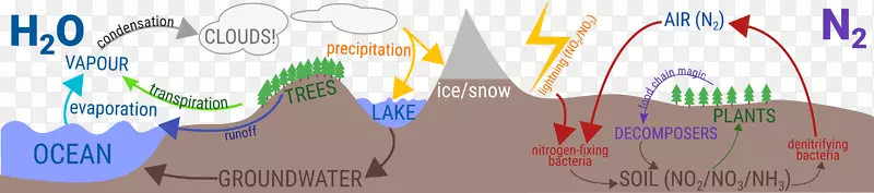 ƽ����������ֽˮƷ�����-������