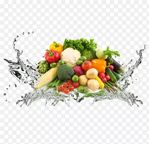 ����ʳƷ��ʳ��ʳ��ʳ�л�ʳƷ�߲�ֲ��-������