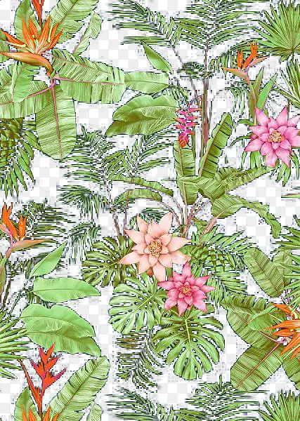 �ɹ�ľ����ֲ������ֲ��-������