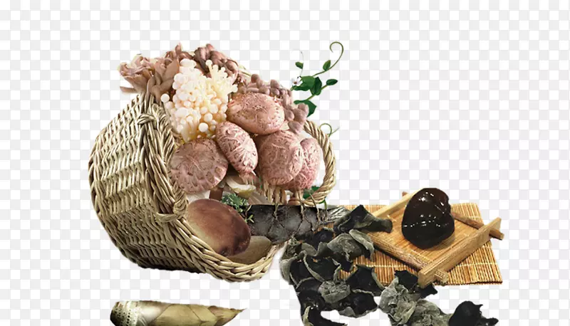 �㹽-��Ģ��-������