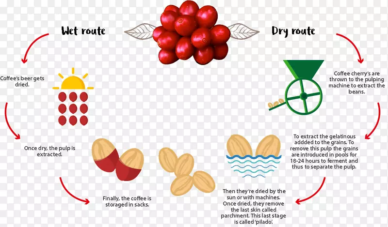 ������������ר�ÿ�������-����-������