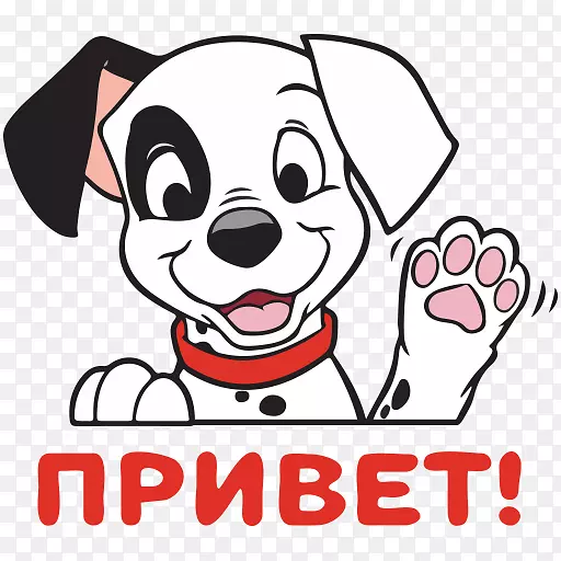 ��������ǹ���ֽ-������