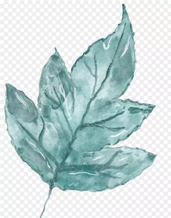 ˮ�ʻ�Ҷ-������