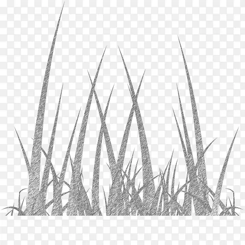 ����Τţ����˹ţ����ţ���-������-������