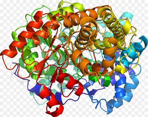 ����ʳƷ������-������