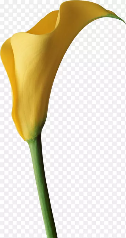 �廨����-������