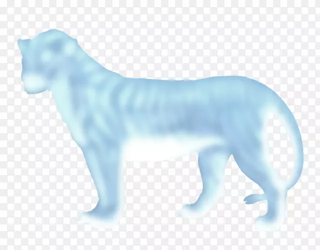 ����è���ӹ�-������