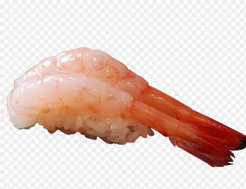 Caridea��˾����ƬϺ��˾-������