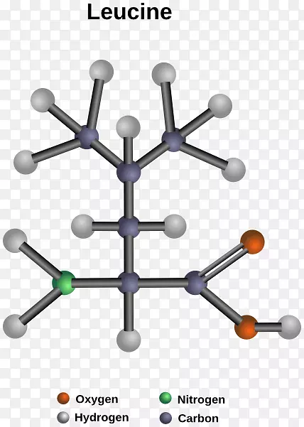 ������Ȱ����춬�����Ұ���-������