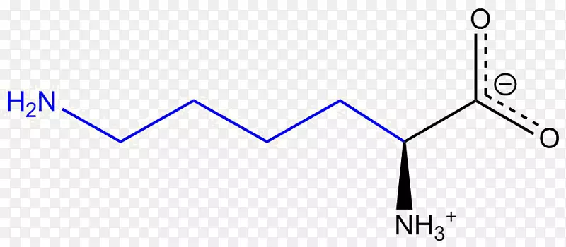 �����ᰱ���ᾫ���᰷-������