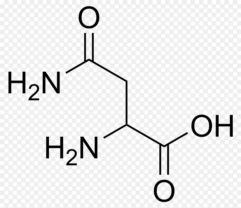 ��������������ʳ�����-������