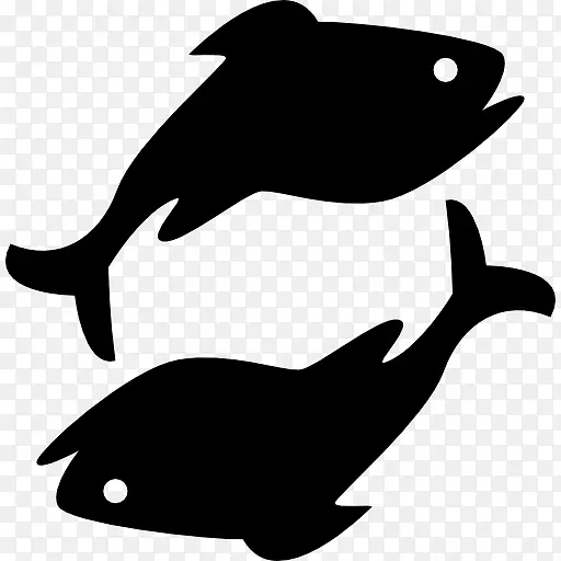 ˫����ռ��������˫����-������