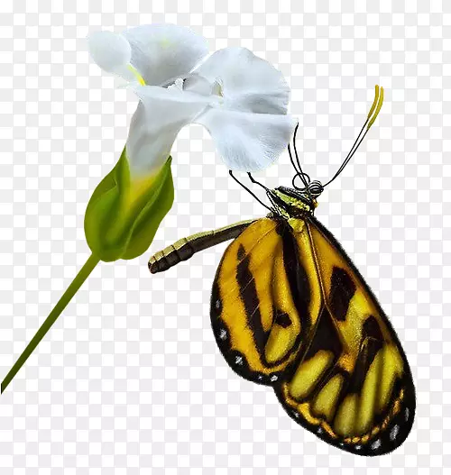 �����������������-����-������