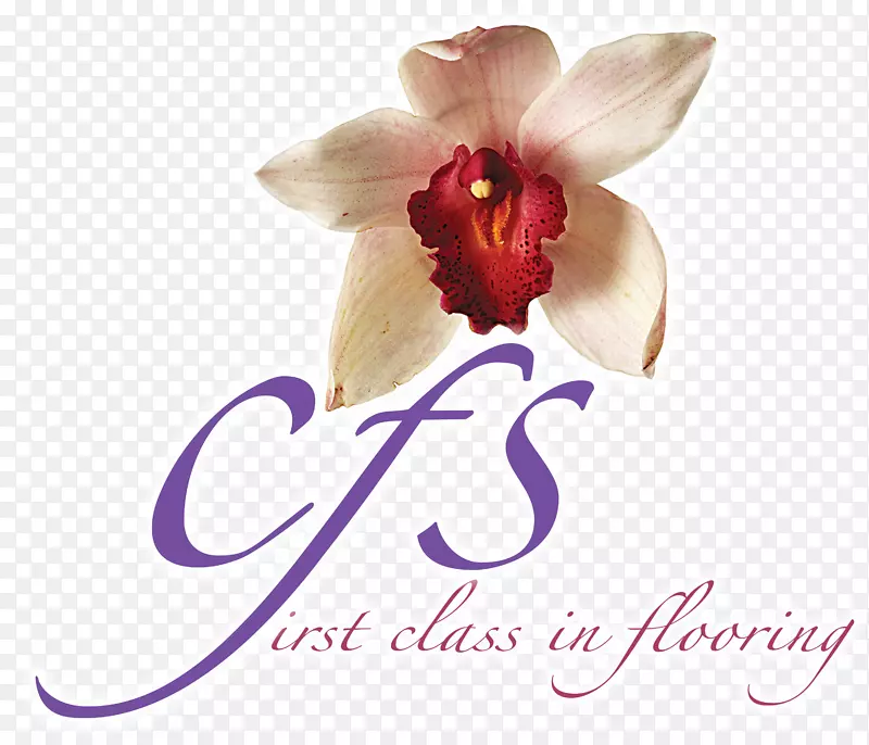 CFS��˾Ӳľ��̺ľ�ذ�-������