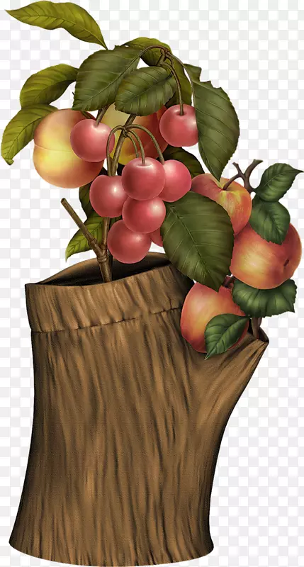 �������ѽ���-���������ҹ�-������