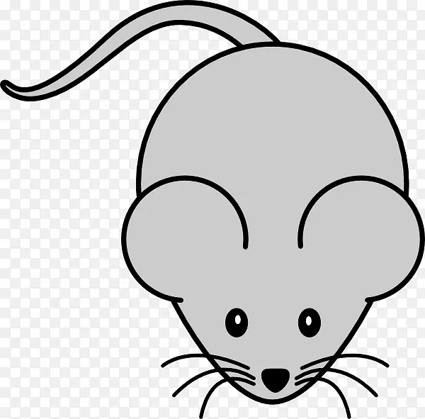 ������������-�������-������