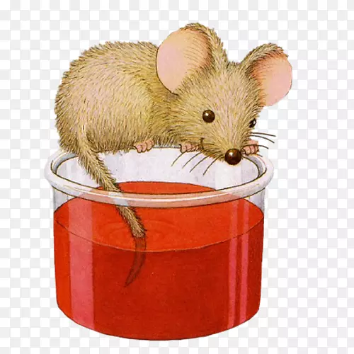 �󻭼�����-ys jagan-������