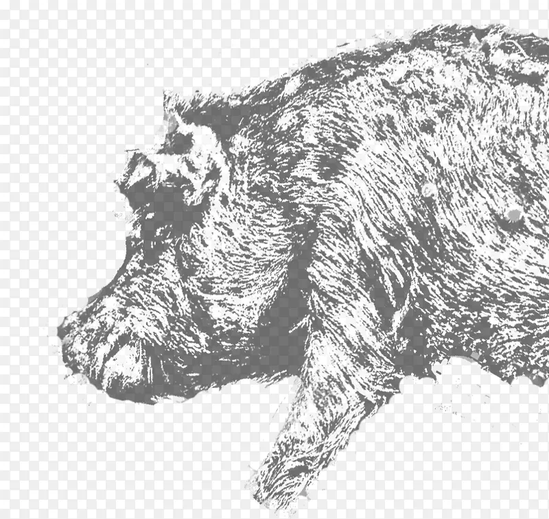 Ұ��Ұ������ƥ˹���긣���ǵ�ɽ��-����ƥ˹ɽ-������