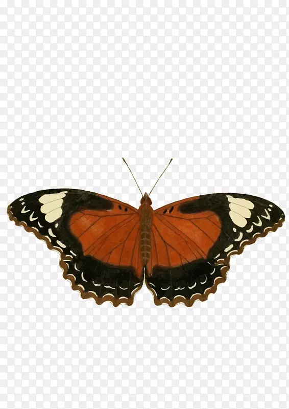 �����������������-����-������