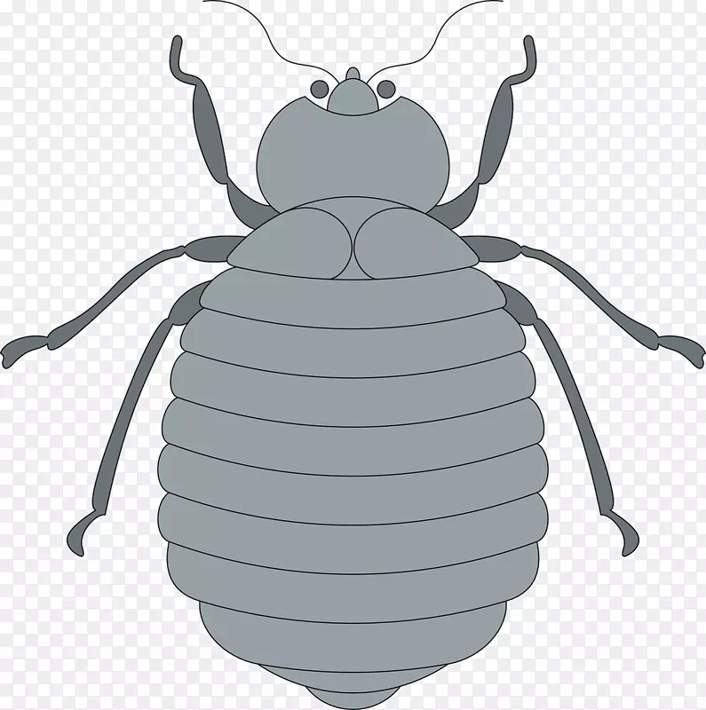 ����ͼ�����������-������