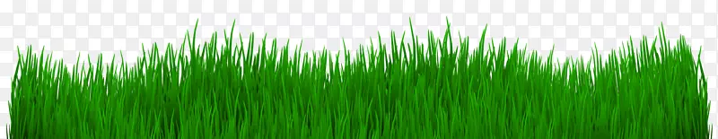 ��������ֽ������.��-������