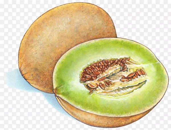 ��¶��˿����ϲ�ͼ.�ֻ�����-������