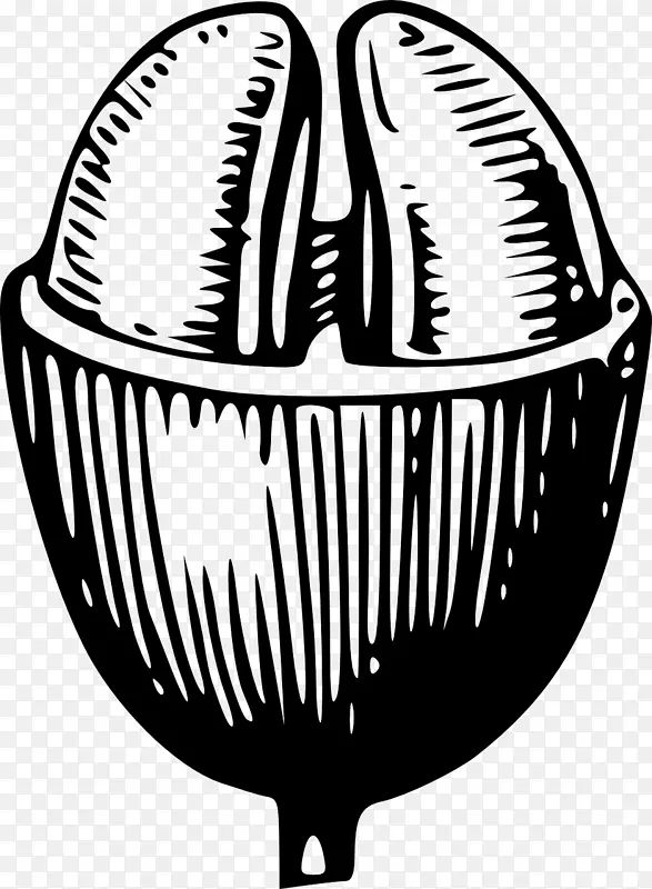 �������ɽ���������ȶ��迧��-������