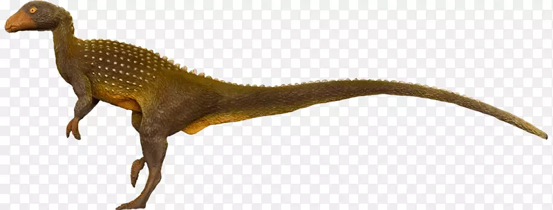 �����-½������-������