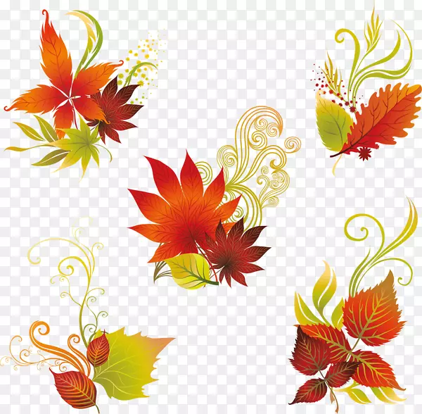 �������ҶҶ-������