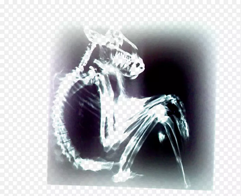 ���޺ڱ��ڵ�������־��Ӱ-ȥ����-������