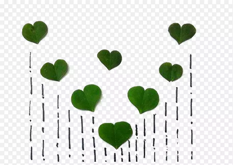 �������ʦ-�������-������