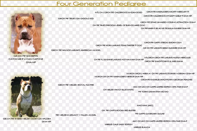 ����ֳȮ��������-С��-������