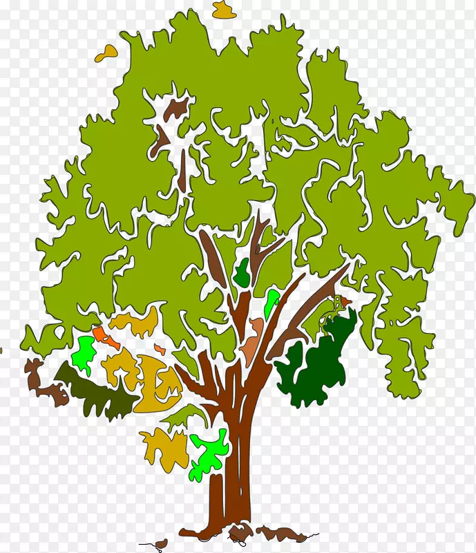 Ҷֲ�ﾥ����ֲ�������-������