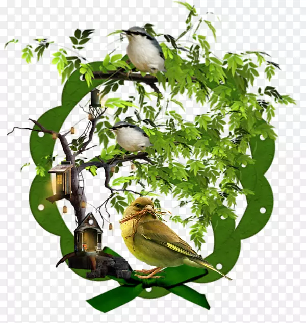 �����������-��-������