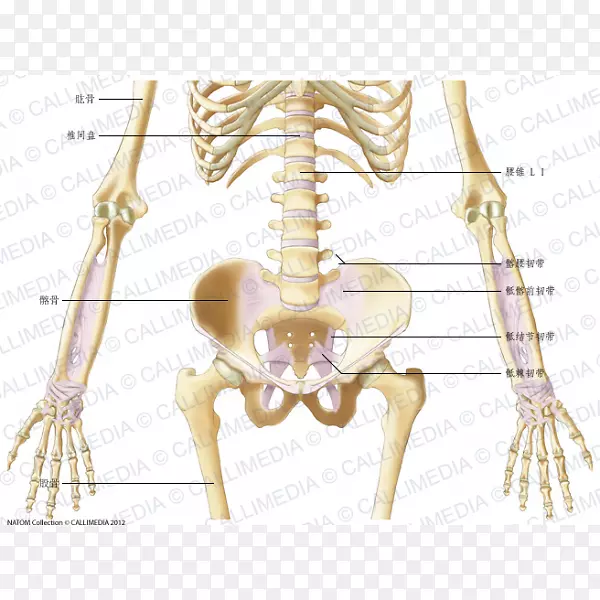 ����ǰ���ʹ�����-������