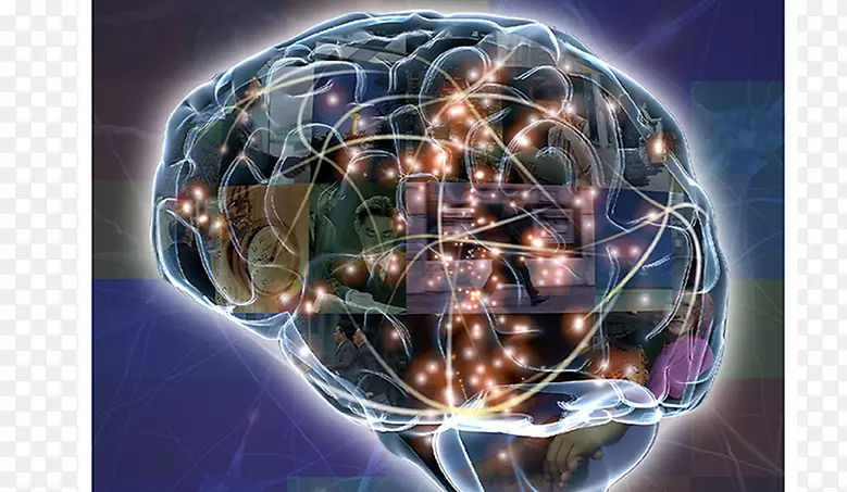 �񾭿�ѧ����ѧ����ԪAGY-��-������