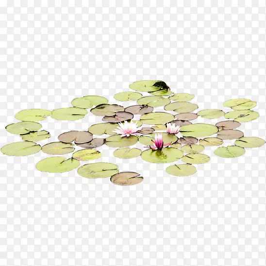 ��ʯ-��ʯ-������