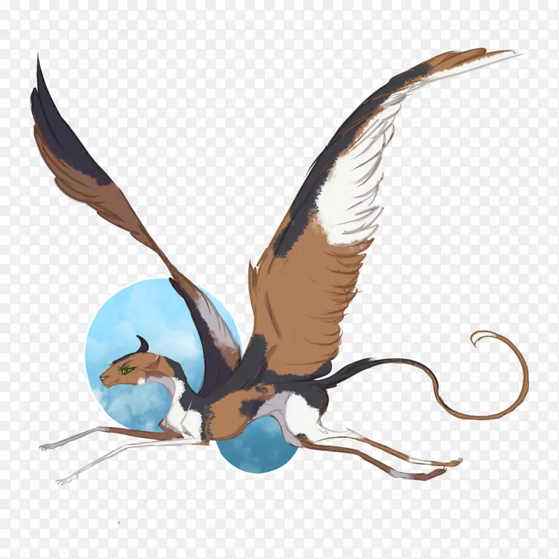 ����������-������