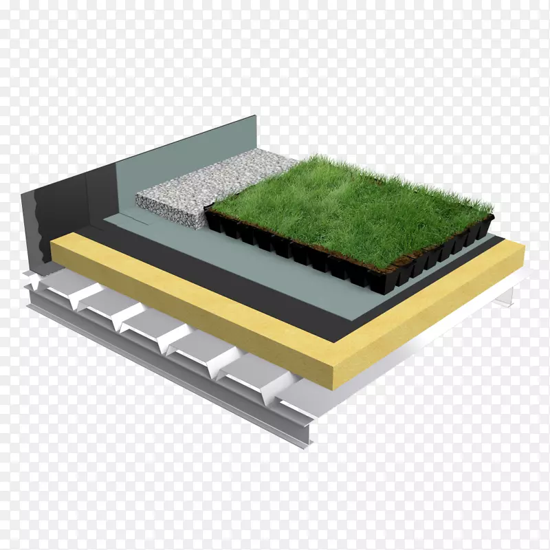 �����-��������-������