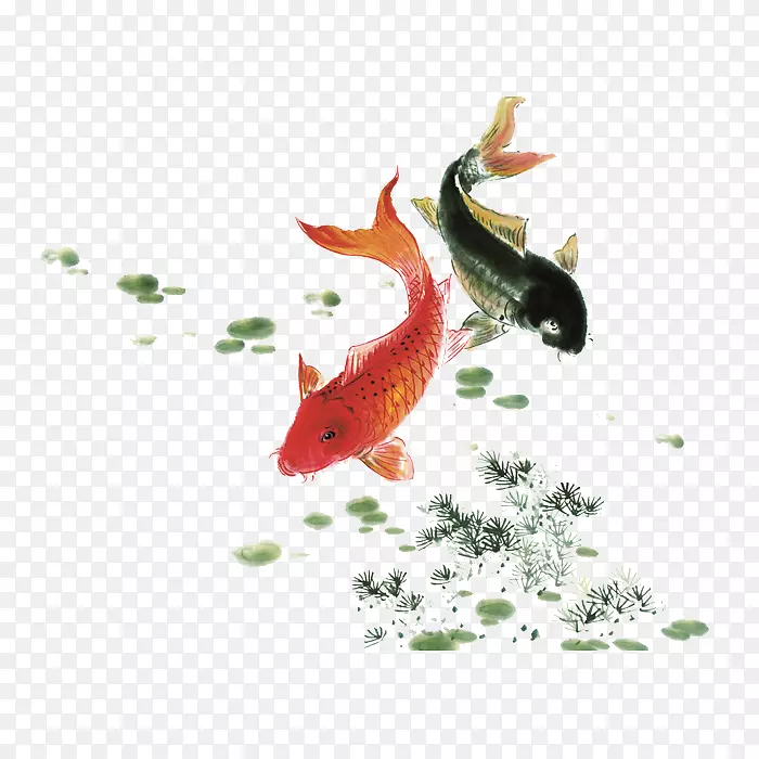 ����ˮī��ˮ�ʻ��㻭-������