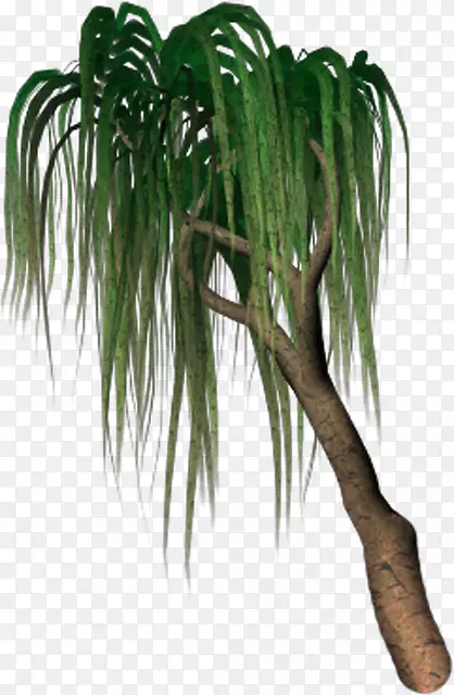 ���ƿƲݻ��賣��ֲ�ﾥ������-������