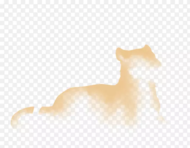 ����è�����������ֽ-è-������