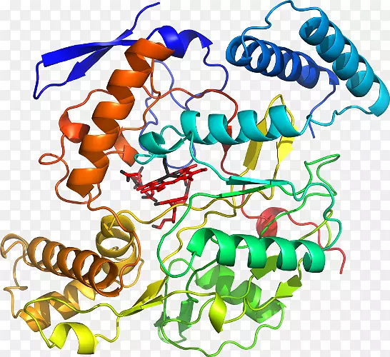 �޼�׵�����߶����������-������